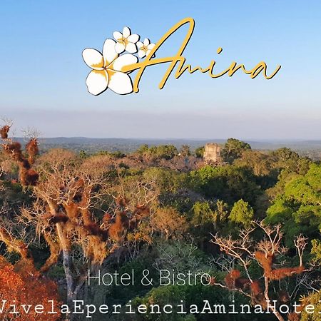 Amina Inn Flores Εξωτερικό φωτογραφία